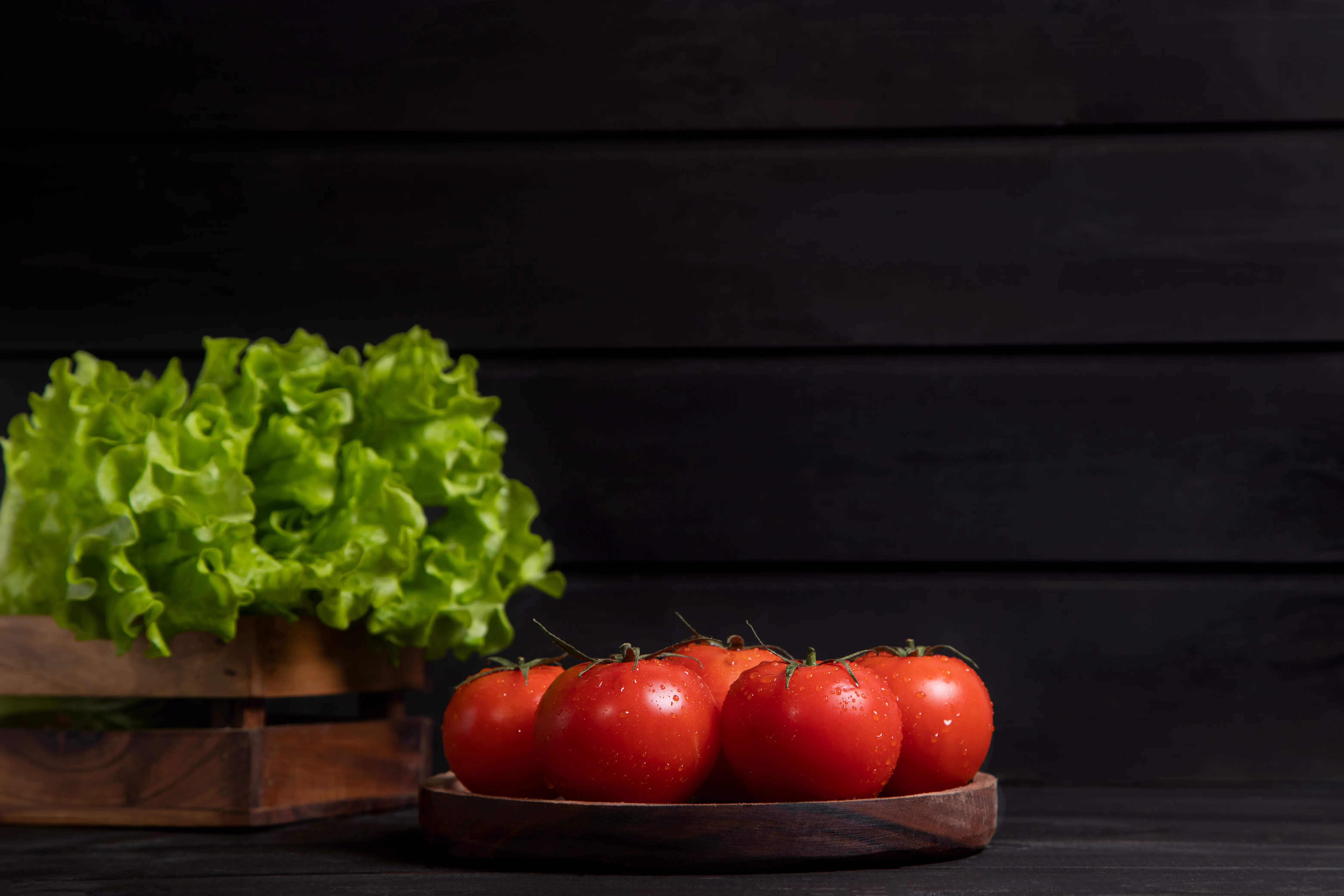 Ingredientes frescos